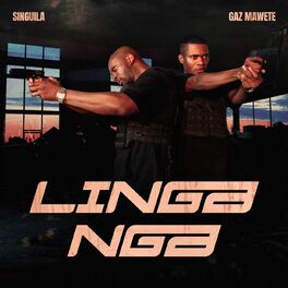 Album cover of Linga Nga