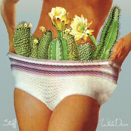 Album cover of Stiff