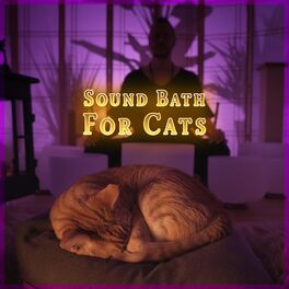 Album cover of Sound Bath for Cats