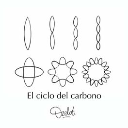 Album cover of El Ciclo del Carbono