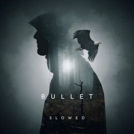 Album cover of Bullet / Slowed