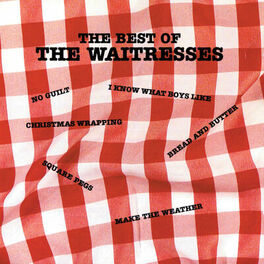 Album cover of The Best Of The Waitresses