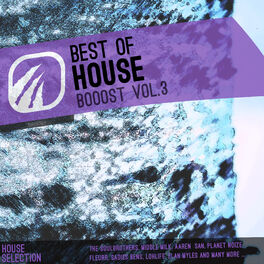 Album cover of Best of House Booost Vol.3