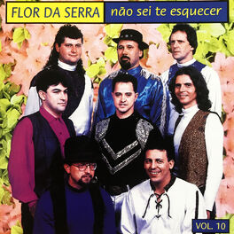 Album cover of Não Sei Te Esquecer, Vol. 10