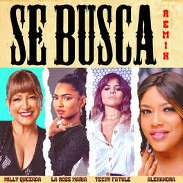 Album cover of Se Busca (Remix)