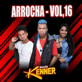 Album cover of Arrocha - Vol. 16