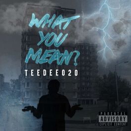 Album cover of What You Mean?