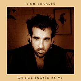 Album cover of Animal (Radio Edit)