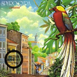 Album cover of Carnaval