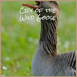 Album cover of Cry of the Wild Goose