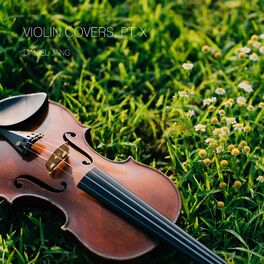 Album cover of Violin Covers, Pt. X