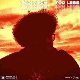 Album cover of Too Much & Too Less