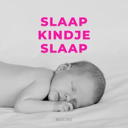 Album cover of Slaap Kindje Slaap (Baby Slaapliedjes uit Nederland) (Music Box)
