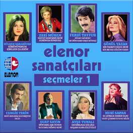Album cover of Seçmeler 1
