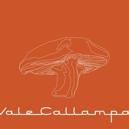 Album cover of Vale Callampa