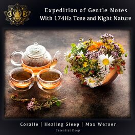 Album cover of Expedition of Gentle Notes with 174Hz Tone and Night Nature