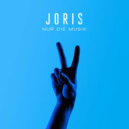 Album cover of Nur die Musik