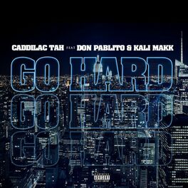 Album cover of GO HARD