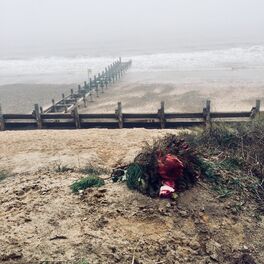 Album cover of Long Gone