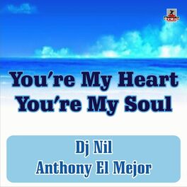 Album cover of You're My Heart You're My Soul