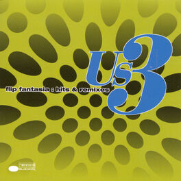 Album cover of Flip Fantasia: Hits & Remixes