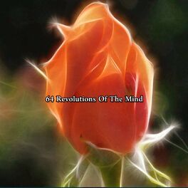 Album cover of 64 Revolutions Of The Mind