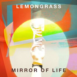 Album cover of Mirror Of Life