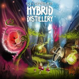 Album cover of Hybrid Distillery