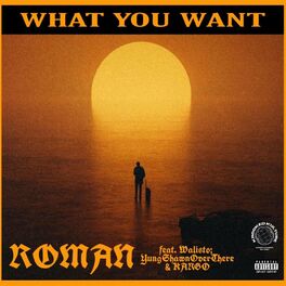 Album cover of What You Want (feat. Walisto, YungShawnOverThere & Kargo)
