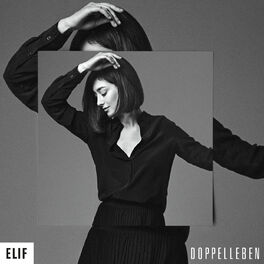 Album cover of Doppelleben