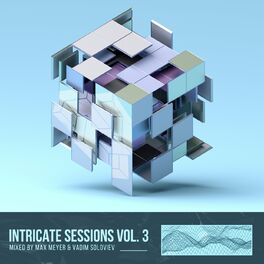 Album cover of Intricate Sessions, Vol. 3 Mixed by Max Meyer & Vadim Soloviev