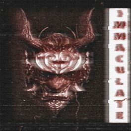 Album cover of IMMACULATE (Remixes)