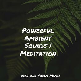 Album cover of Powerful Ambient Sounds | Meditation