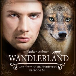 Album cover of Wandlerland, Episode 24 - Fantasy-Serie (Academy of Shapeshifters)