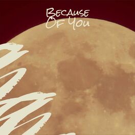 Album cover of Because Of You