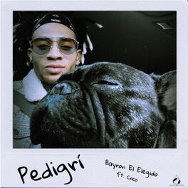 Album cover of Pedigrí
