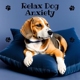Album cover of Relax Dog Anxiety: Calm and Relaxing Music for Dogs