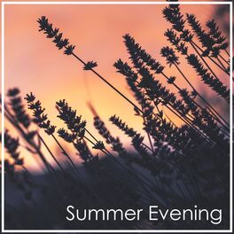 Album cover of Liszt: Summer Evening