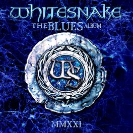 Album cover of The BLUES Album (2020 Remix)