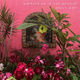 Album cover of Waking Up in Los Angeles