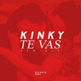 Album cover of Te Vas Remixes