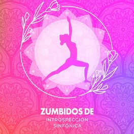 Album cover of Zumbidos de Introspección Sinfónica