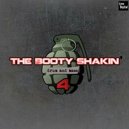 Album cover of The Booty Shakin' Drum and Bass, Vol. 4