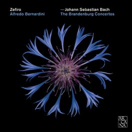 Album cover of Bach: The Brandenburg Concertos