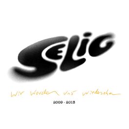 Album cover of Wir werden uns wiedersehen - Best Of 2009-2013