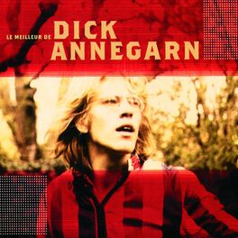 Album cover of Le Meilleur De Dick Annegarn