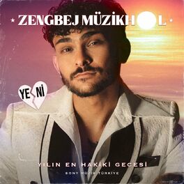 Album cover of ZENGBEJ MÜZİKHOL 2 (HÜKÜM)