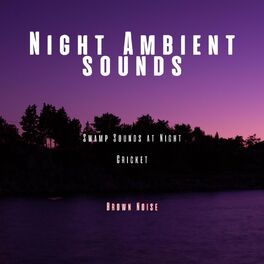 Album cover of Night Ambient Sounds, Cricket, Swamp Sounds at Night with Brown Noise, Loopable