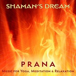 Album cover of Prana: Music for Yoga, Meditation & Relaxation