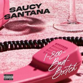 Album cover of 1-800-Bad-Bxtch